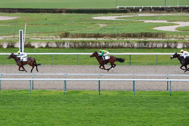 Photo d'arrivée de la course pmu PRIX THE WONDER à DEAUVILLE le Lundi 16 décembre 2019