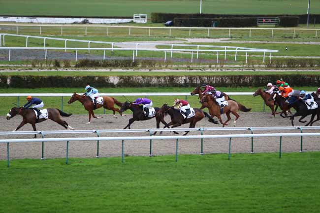 Photo d'arrivée de la course pmu PRIX DE LA HAUQUERIE à DEAUVILLE le Lundi 16 décembre 2019