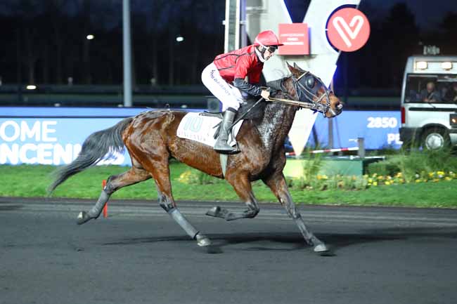 Photo d'arrivée de la course pmu PRIX DE MORTEMART à PARIS-VINCENNES le Vendredi 20 décembre 2019