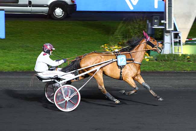 Photo d'arrivée de la course pmu PRIX DE PONS à PARIS-VINCENNES le Dimanche 22 décembre 2019