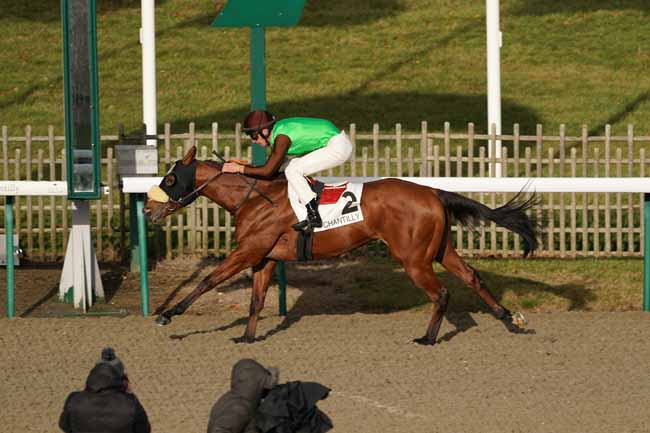Photo d'arrivée de la course pmu PRIX DU CARREFOUR DES MARCHANDS DE NAVETS à CHANTILLY le Lundi 23 décembre 2019