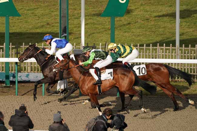 Photo d'arrivée de la course pmu PRIX DE LA ROUTE PAPILLON à CHANTILLY le Lundi 23 décembre 2019