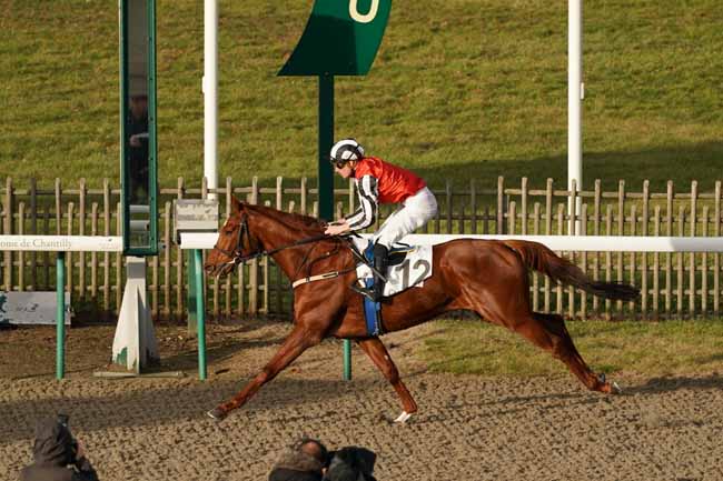 Photo d'arrivée de la course pmu PRIX DE LA MAISON DE LA PIERRE à CHANTILLY le Lundi 23 décembre 2019