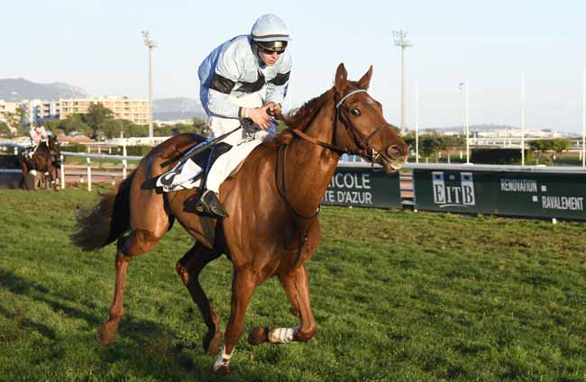 Photo d'arrivée de la course pmu PRIX DE LA CORSE à CAGNES-SUR-MER le Mardi 24 décembre 2019