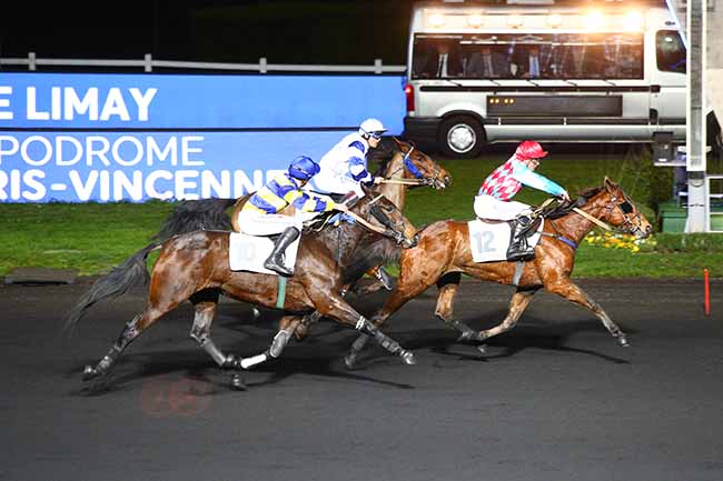 Photo d'arrivée de la course pmu PRIX DE LIMAY à PARIS-VINCENNES le Mercredi 25 décembre 2019