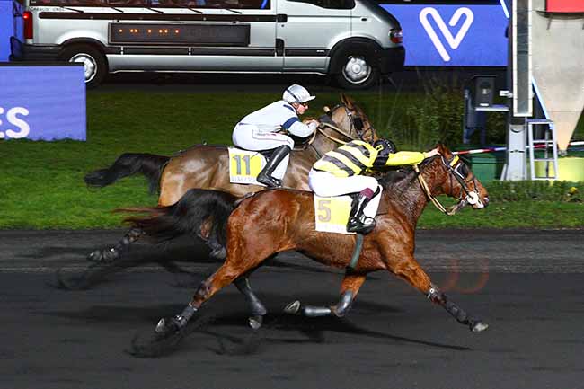 Photo d'arrivée de la course pmu PRIX DE COLLIOURE à PARIS-VINCENNES le Samedi 28 décembre 2019
