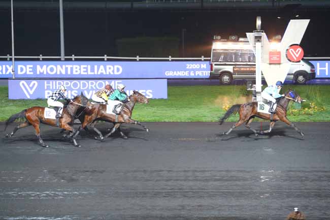 Photo d'arrivée de la course pmu PRIX DE MONTBELIARD à PARIS-VINCENNES le Mercredi 1 janvier 2020