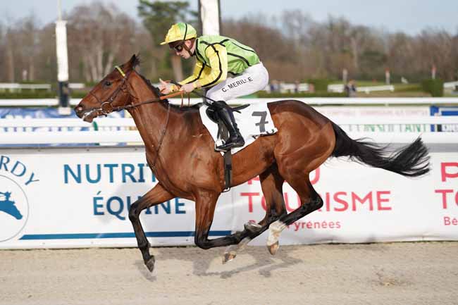 Photo d'arrivée de la course pmu PRIX DE MADIRAN à PAU le Jeudi 2 janvier 2020