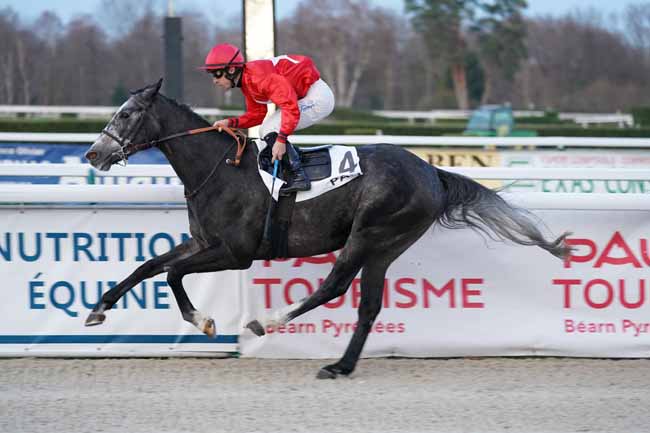 Photo d'arrivée de la course pmu PRIX DU CONSEIL GENERAL DES PYRENEES-ATLANTIQUES à PAU le Jeudi 2 janvier 2020