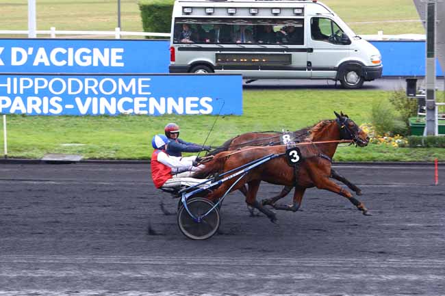 Photo d'arrivée de la course pmu PRIX D'ACIGNE à PARIS-VINCENNES le Jeudi 2 janvier 2020