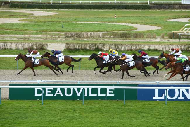 Photo d'arrivée de la course pmu PRIX DE CRENNES à DEAUVILLE le Vendredi 3 janvier 2020