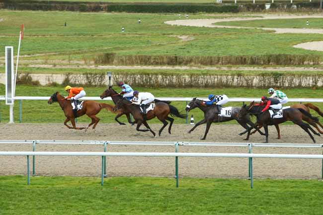 Photo d'arrivée de la course pmu PRIX DE LA BEAUVOISINIERE à DEAUVILLE le Vendredi 3 janvier 2020