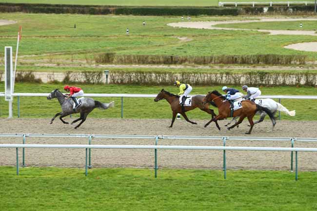 Photo d'arrivée de la course pmu PRIX DE SAINT-ROCH à DEAUVILLE le Vendredi 3 janvier 2020