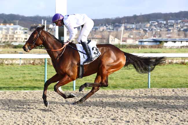 Photo d'arrivée de la course pmu PRIX DE SAINT-JAMES à DEAUVILLE le Samedi 4 janvier 2020