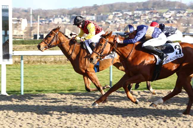 Photo d'arrivée de la course pmu PRIX DE LA PERDRIERE à DEAUVILLE le Samedi 4 janvier 2020