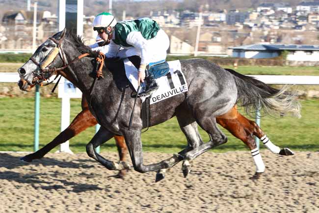Photo d'arrivée de la course pmu PRIX DE LA SEULLETTE à DEAUVILLE le Samedi 4 janvier 2020