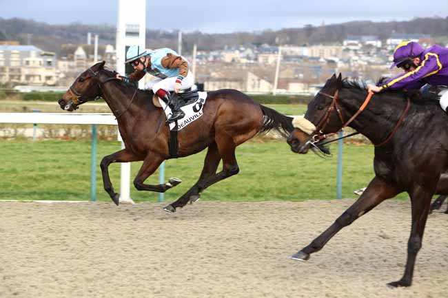 Photo d'arrivée de la course pmu PRIX DES COTTAGES à DEAUVILLE le Samedi 4 janvier 2020