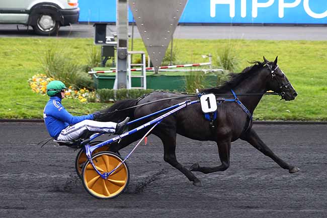 Photo d'arrivée de la course pmu PRIX DE VIC-SUR CERE à PARIS-VINCENNES le Dimanche 5 janvier 2020