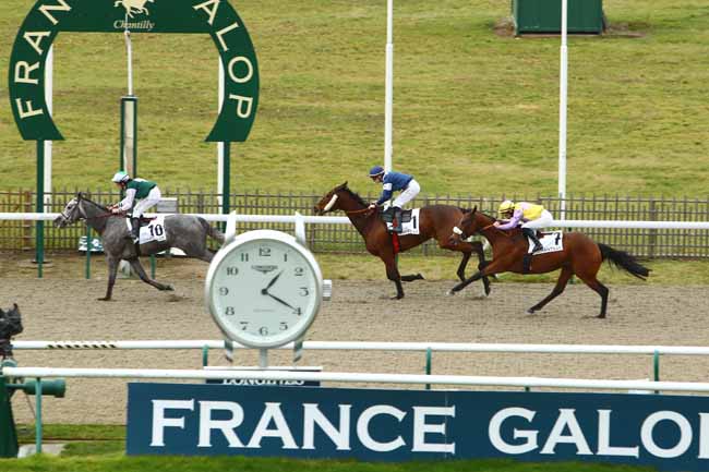 Photo d'arrivée de la course pmu PRIX DU LAVOIR DES PLANCHES à CHANTILLY le Mercredi 8 janvier 2020