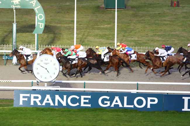 Photo d'arrivée de la course pmu PRIX DU PETIT CHATEAU à CHANTILLY le Mercredi 8 janvier 2020