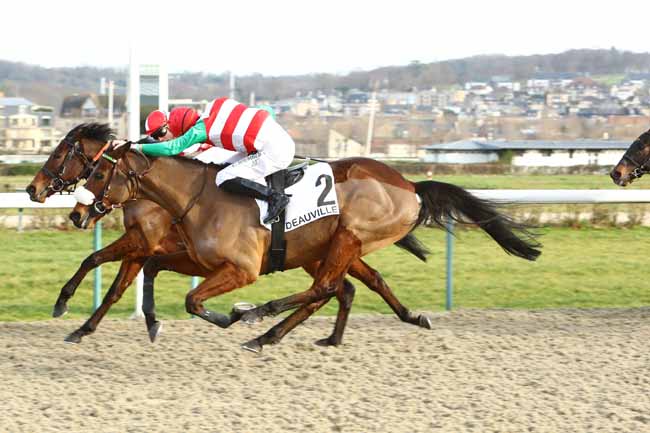 Photo d'arrivée de la course pmu PRIX SWAIN à DEAUVILLE le Samedi 11 janvier 2020