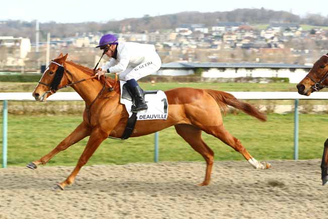 Photo d'arrivée de la course pmu PRIX PRIOLO à DEAUVILLE le Samedi 11 janvier 2020