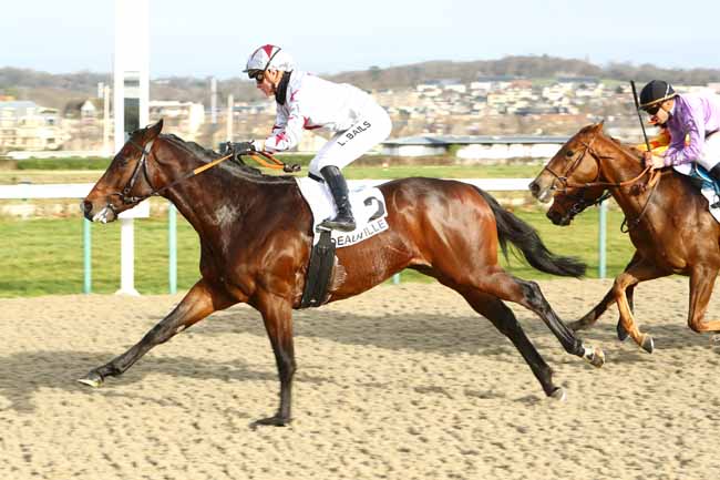 Photo d'arrivée de la course pmu PRIX DU PHARE à DEAUVILLE le Samedi 11 janvier 2020