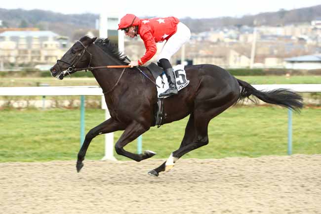 Photo d'arrivée de la course pmu PRIX DE LA GARE DE POINTE-NOIRE à DEAUVILLE le Samedi 11 janvier 2020