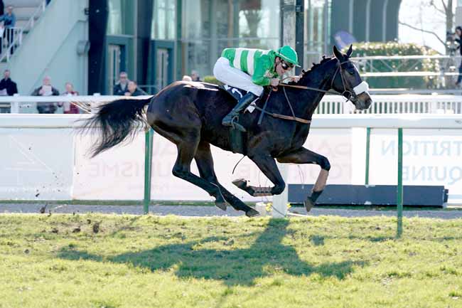 Photo d'arrivée de la course pmu PRIX AUGUSTE DE CASTELBAJAC - PRIX EQUIDIA à PAU le Mardi 14 janvier 2020