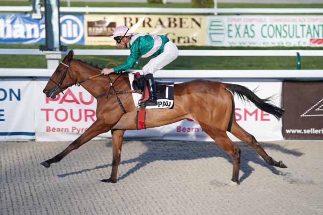 Photo d'arrivée de la course pmu PRIX PMU LE CENTRAL - GELOS à PAU le Mardi 14 janvier 2020
