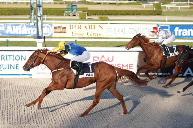 Photo d'arrivée de la course pmu PRIX CLUSTER SO HORSE ALLIANCES à PAU le Mardi 14 janvier 2020