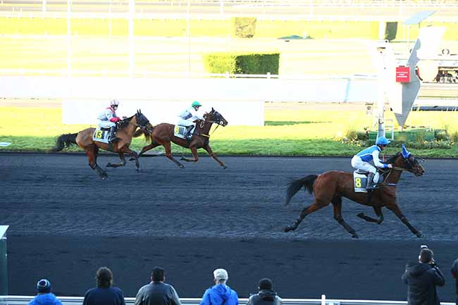 Photo d'arrivée de la course pmu PRIX DE MONTFORT à PARIS-VINCENNES le Jeudi 16 janvier 2020