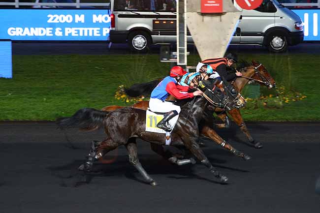 Photo d'arrivée de la course pmu PRIX DE JUVISY à PARIS-VINCENNES le Jeudi 16 janvier 2020