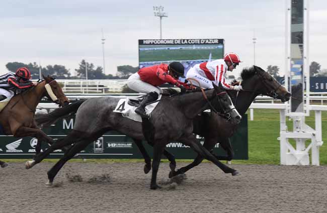 Photo d'arrivée de la course pmu PRIX DES BLEUETS à CAGNES-SUR-MER le Vendredi 17 janvier 2020