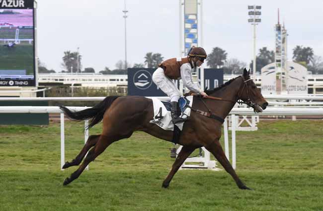 Photo d'arrivée de la course pmu PRIX DU COL DE LA BONETTE à CAGNES-SUR-MER le Vendredi 17 janvier 2020