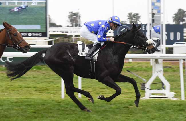 Photo d'arrivée de la course pmu PRIX DE CAILLE à CAGNES-SUR-MER le Vendredi 17 janvier 2020