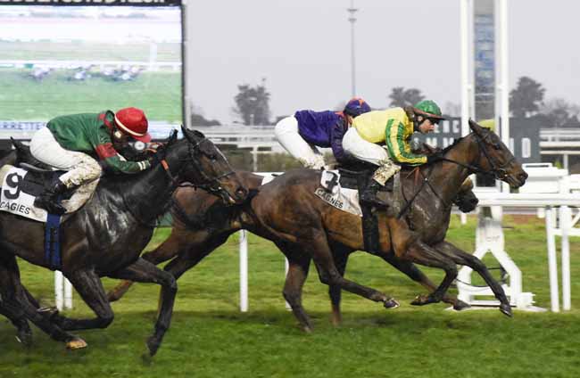 Photo d'arrivée de la course pmu PRIX DE TOURRETTES-SUR-LOUP à CAGNES-SUR-MER le Vendredi 17 janvier 2020