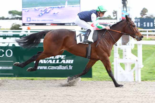 Photo d'arrivée de la course pmu PRIX DU LANGUEDOC à CAGNES-SUR-MER le Lundi 20 janvier 2020