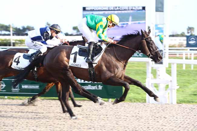 Photo d'arrivée de la course pmu PRIX DES ROMARINS à CAGNES-SUR-MER le Lundi 20 janvier 2020