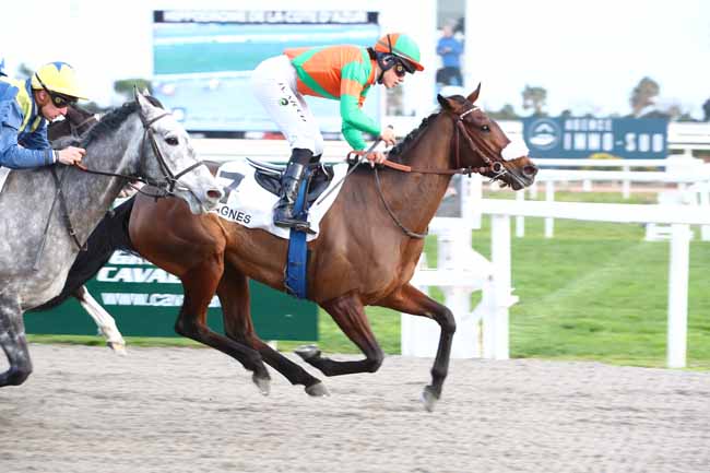 Photo d'arrivée de la course pmu PRIX DE SAINT-JEANNET à CAGNES-SUR-MER le Lundi 20 janvier 2020