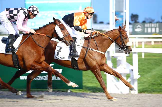 Photo d'arrivée de la course pmu PRIX DU ROUSSILLON à CAGNES-SUR-MER le Lundi 20 janvier 2020