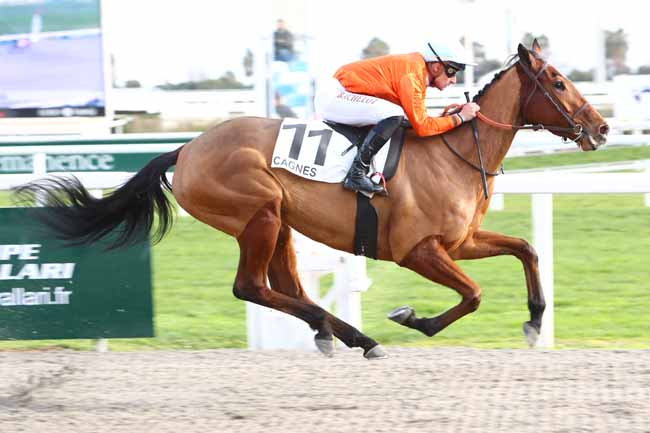 Photo d'arrivée de la course pmu PRIX DES ILES DU FRIOUL à CAGNES-SUR-MER le Mardi 21 janvier 2020