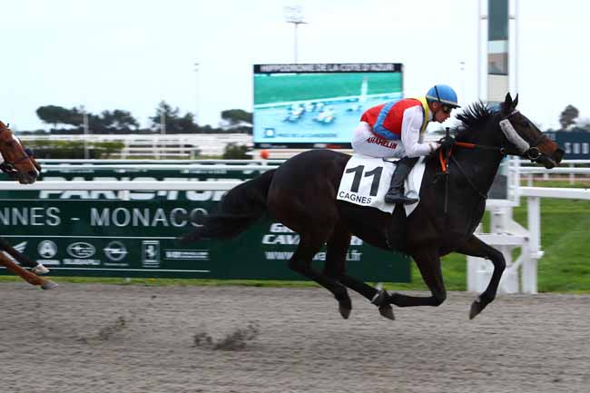 Photo d'arrivée de la course pmu PRIX DE LA CANEBIERE à CAGNES-SUR-MER le Mardi 21 janvier 2020