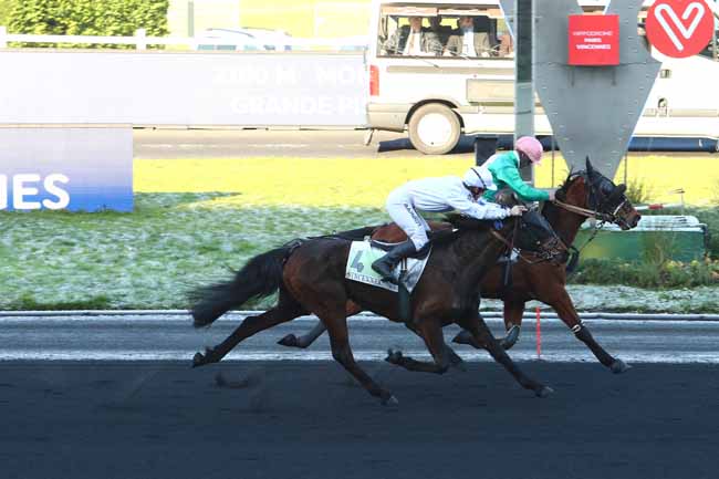Photo d'arrivée de la course pmu PRIX DE CHATEAUGIRON à PARIS-VINCENNES le Mardi 21 janvier 2020