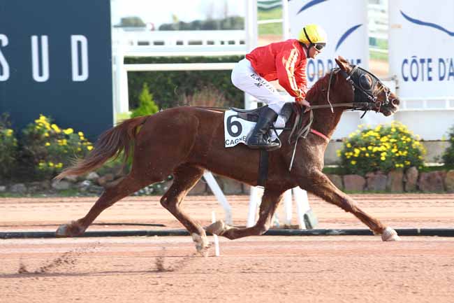 Photo d'arrivée de la course pmu PRIX KRAMA KALL à CAGNES-SUR-MER le Mercredi 22 janvier 2020