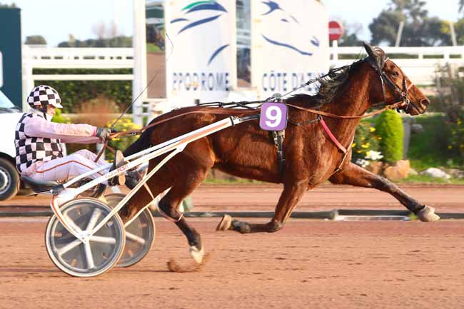 Photo d'arrivée de la course pmu PRIX DOLLAR DE MESLAY à CAGNES-SUR-MER le Mercredi 22 janvier 2020