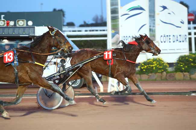 Photo d'arrivée de la course pmu PRIX HENRI ESTABLE à CAGNES-SUR-MER le Mercredi 22 janvier 2020
