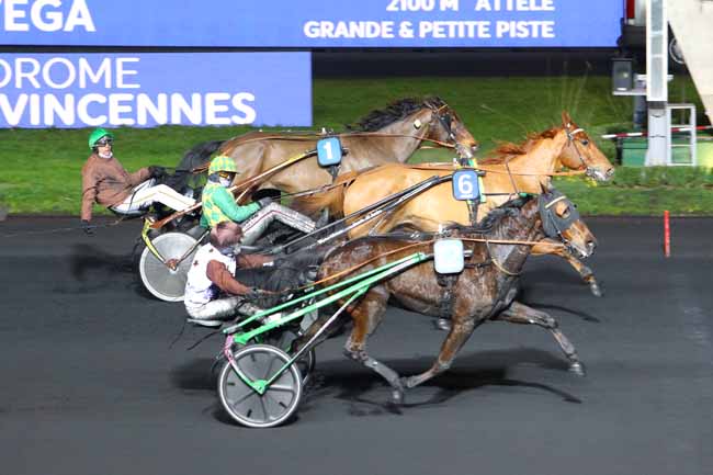 Photo d'arrivée de la course pmu PRIX DE WOLVEGA à PARIS-VINCENNES le Jeudi 23 janvier 2020