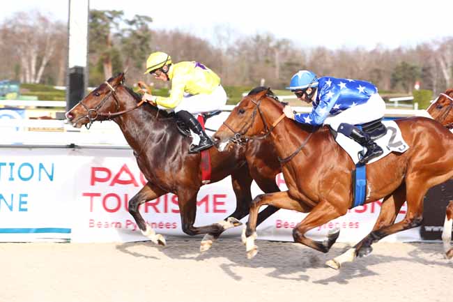 Photo d'arrivée de la course pmu PRIX DE BALEIX à PAU le Vendredi 24 janvier 2020