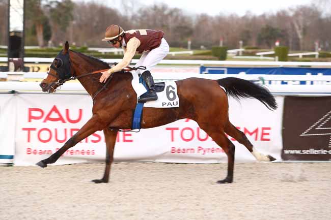 Photo d'arrivée de la course pmu PRIX DE LIVRON à PAU le Vendredi 24 janvier 2020
